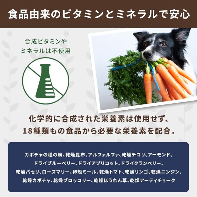 NATURE'S LOGIC Dry Dog Food - 100% Natural - No Synthetics - for All Ages, Sizes, Breeds - Free from Common Allergens, High Protein - Turkey Meal Feast, 4.4lbs