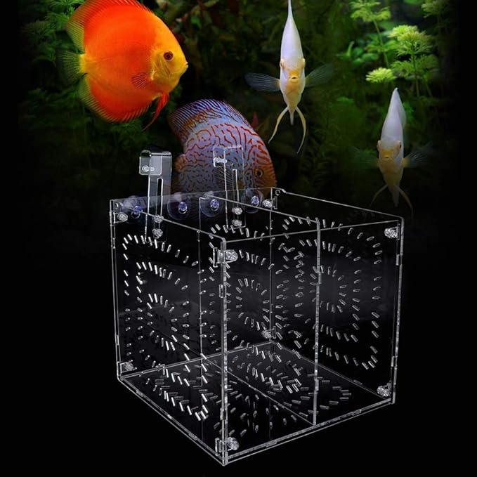 Fish Tank Breeding Box Aquarium Isolation Box High Transparency Adjustable Height Sturdy Acrylic Material for Fish Shrimp Isolation Transparent 15x15x15cm 30x15x15cm 20x20 (20MC *20CM*20CM)