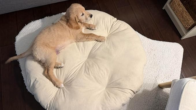 Round Dog Bed Insert Natural – Muslin Cotton Cover with Raw Cotton Filling, Breathable, Plastic-Free, Replacement Cushion (X Large 42" x 4")