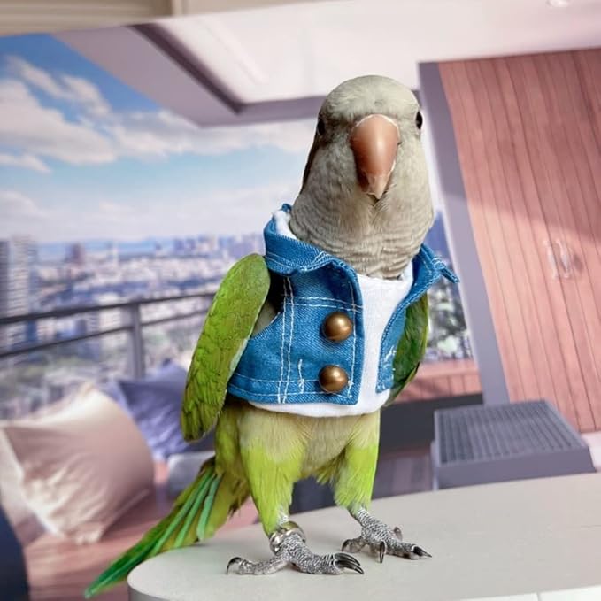 Bird Costume Bird Diaper Flight Suit Bird Jeans Fake Two Pieces Bird Clothes Cosplay Photo Prop for Parrots Lovebird Parakeet Cockatiel Small Animals Apparel (Without Diaper,Blue Quaker)