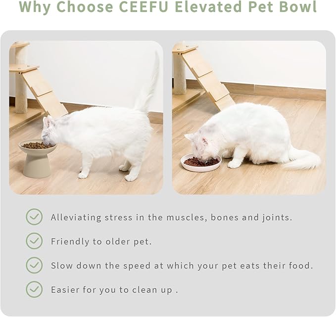 Extra Wide Elevated Ceramic Cat Bowl, 6.2" Shallow Dish for Whisker Fatigue Relief, 5" Height for Easy Feeding, Durable Raised Cat Food Bowls, Pack of 2, Pottery Clay (Not Glazed)