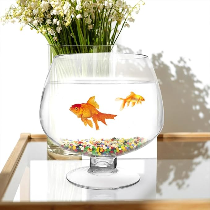 POPETPOP Transparent Multi-Function Betta Tank Decorative Desktop Aquarium for Plants Vase for Home Office Decor Unique Design