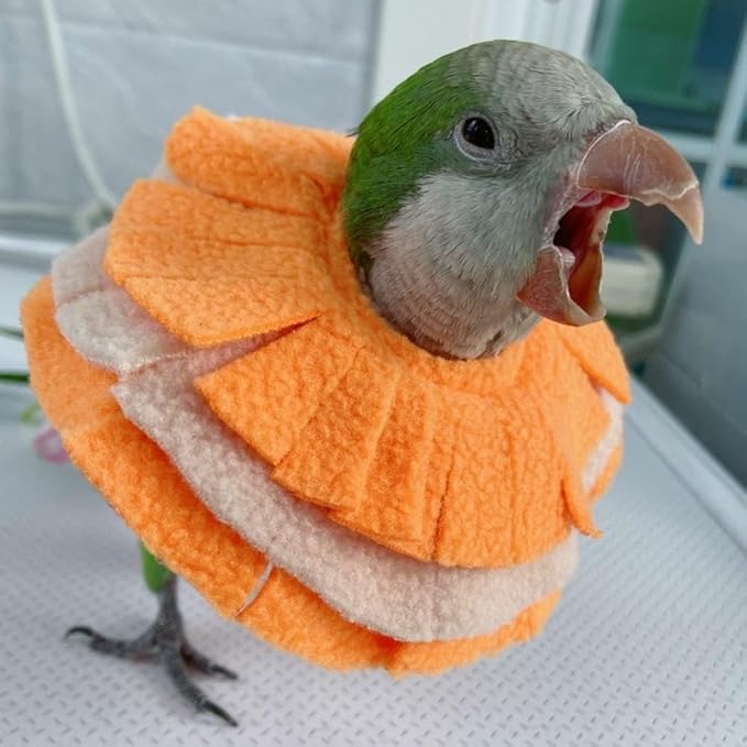 Bird Collar Anti Bite Elizabethan Recovery Cone, Bird Neck Protector for Feather Plucking, Bird Neckwear Full Body Shield for Parakeet Color Randomly (Budgier)