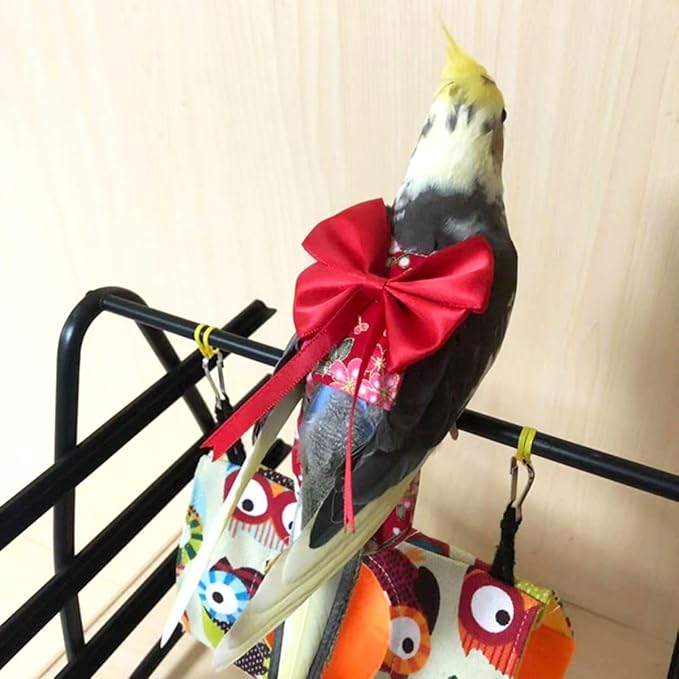 Bird Flight Suits Diapers, Parrot Flight Suits Diapers for Quaker Parakeets Cockatiels Flight Suits, Parrot Clothes (Black,2M)
