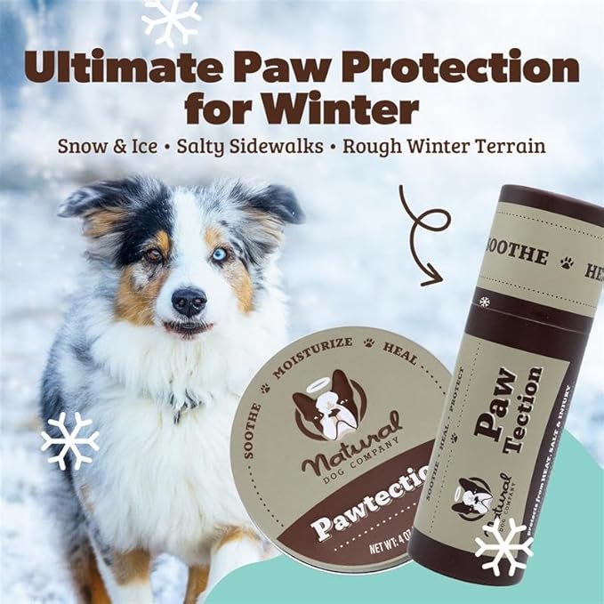 Natural Dog Company PawTection Balm for Dogs – Winter Paw Protection from Snow, Ice & Salt, Wax-Based Paw Barrier Balm, All Breeds for Cold Weather Walks & Outdoor Adventures, Lick-Safe, 2 oz Tin