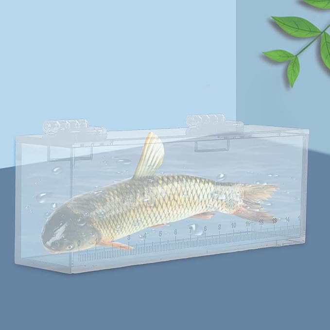 MagiDeal Fish Viewing Box, Fishing Hatching Incubator, Acrylic Fish Egg Breeding Case, Aquarium Tank Isolation Breeder, L