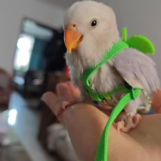 Adjustable Bird Diaper Harness Flight Suit Clothes with 80 Inch Flying Leash Rope for Parrots Conure Cockatiel (Yellow,L)