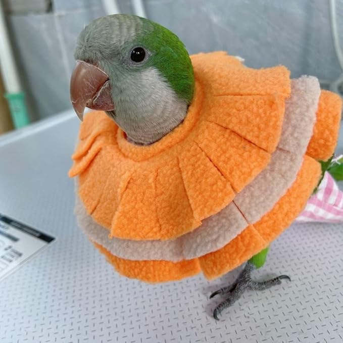 Elizabethan Recovery Cone Bird Collar - Anti Bite Neck Protector for Feather Plucking, Full Body Shield for Parakeet (Green Quaker)