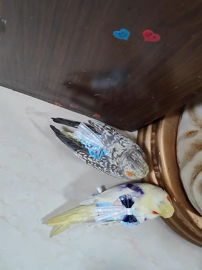 Bird Flight Suits Diapers, Parrot Diapers for Monk Parakeets, Cockatiels, Parrot Clothes Costume, Bird Training Nappy Suit Liners Clothes (Large,Blue-A)