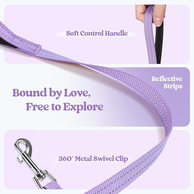 rabbitgoo Dog Harness Small Sized and Leash Set, Step in Soft Light Puppy Vest, Breathable Mesh Pet Harness, Reflective for Safe Easy Walking, Light Purple M