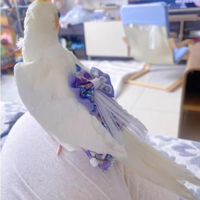 Bird Diaper Cockatiel Clothes Flight Suite, Reusable Parrot Nappy with Waterproof Inner Layer, Cute Pigeon Pants Urine Wet Suit Costume for Conure Macaw (Red,L)