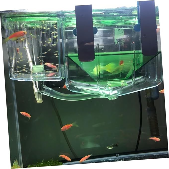 POPETPOP Box Box Self Guided Fish Breeding Tank Isolation Box Transparent Hatching Incubator for Fish Eggs and Newborns for Aquarium Protection and Enhanced Survival Rates