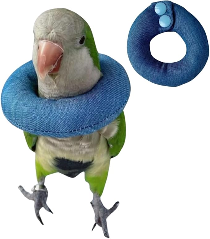 Parrot Neck Collar Pet Anti-bite Picking Feather Healing Protective Neck Cover Collar for Birds Conures Cockatiels Lovebirds Budgies Cockatoos African Grey Random Color (2M)