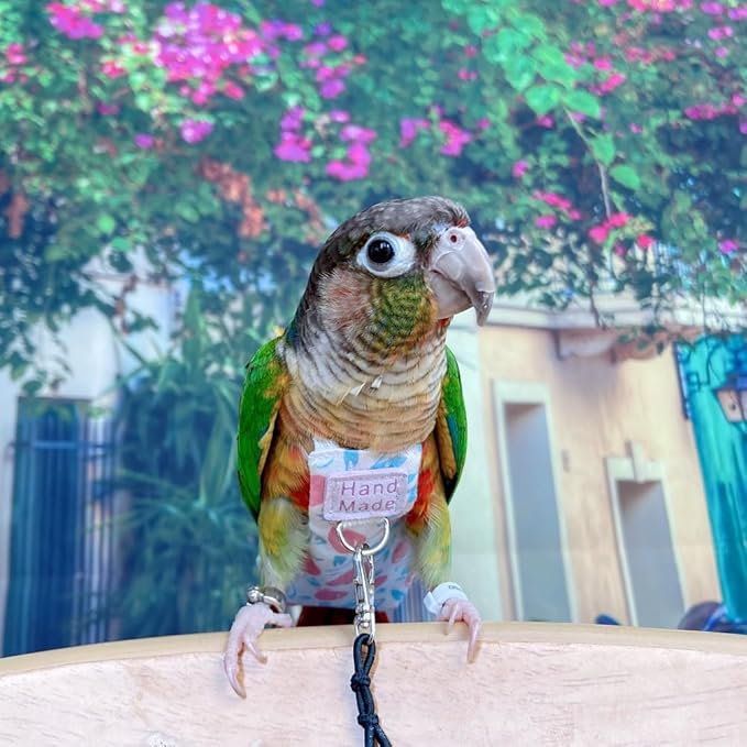 Bird Clothes Parrot Diapers Bird Flight Suits, Reusable Waterproof Diapers pet Bird Supplies (with Rope, XS)