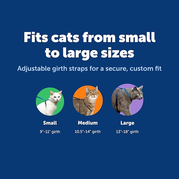 PetSafe Come With Me Kitty Cat Harness & Bungee Leash - Comfortable Cat Harness with Lightweight Bungee Leash for Outdoor Fun - More Secure Walks - Medium - Royal Blue