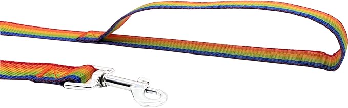 Nylon Training Dog Leash for Small Medium Large Dogs, 15ft 20ft 30ft 50ft Long Leash Dog/Puppy Lead for Obedience Recall Training, Camping (1" x 30ft, Rainbow)