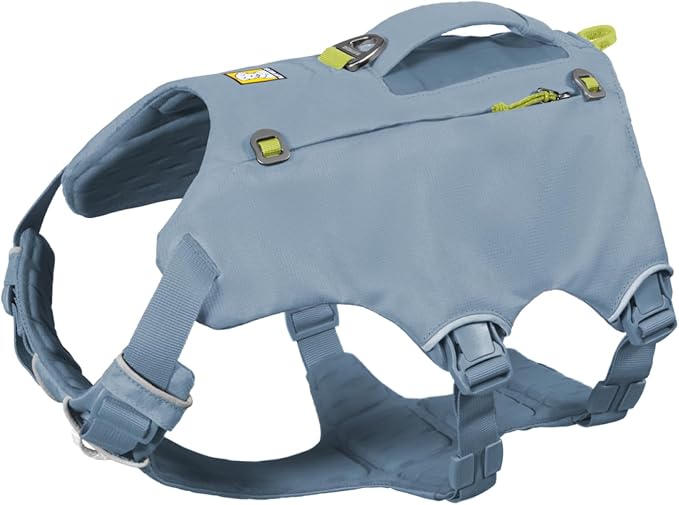 Ruffwear Palisades Dog Backpack, Multi-Day Pack with Removable Saddlebags, Breathable Adjustable Harness, Reflective Trim, Glacier Lake, X-Small