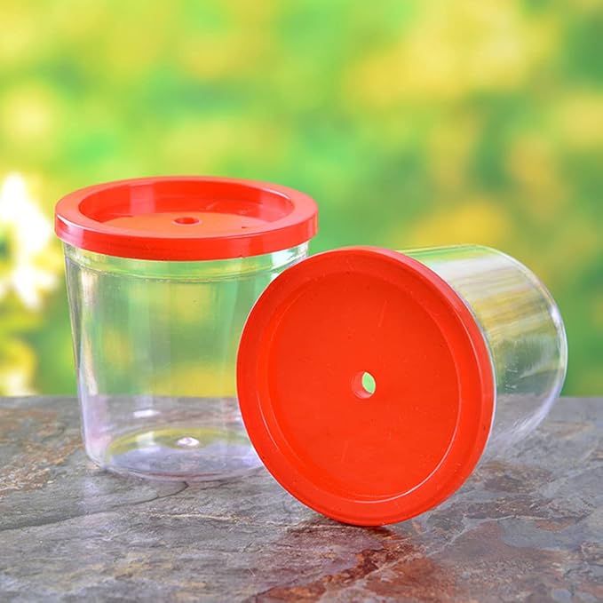 Small Fish for Cup for Betta Jellyfish Portable Single Fish Aquariums for Turtle Feeding Bottles Random Col