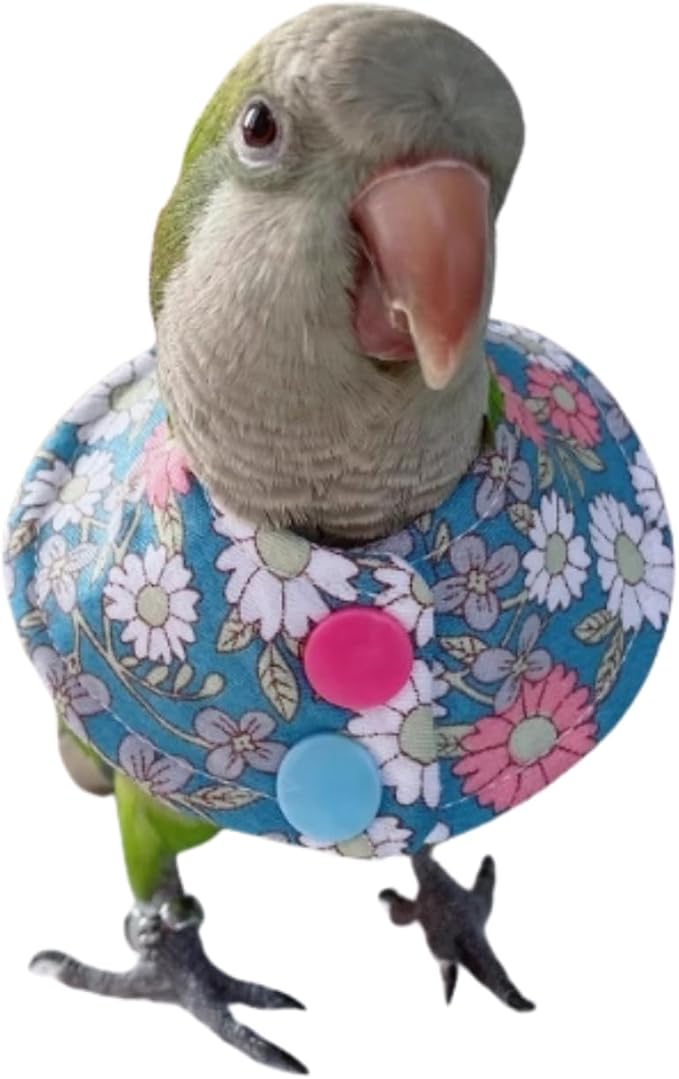 Bird Collar - Anti-Bite Elizabethan Recovery Cone Feather Plucking Protector Skin-Friendly Neckwear for Parakeets Conures Cockatiels Lovebirds Budgies Cockatoos African Grey Random Color (XS)