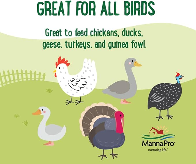 Farmhouse Favorites Dried Mealworms for Chickens, 5 lb, Chicken Treats, Meal Worm, 100% Natural Bird Food for Hens, Turkeys, Geese, Guinea Fowl, Duck Food, Poultry Scratch, Meal Worms for Wild Birds