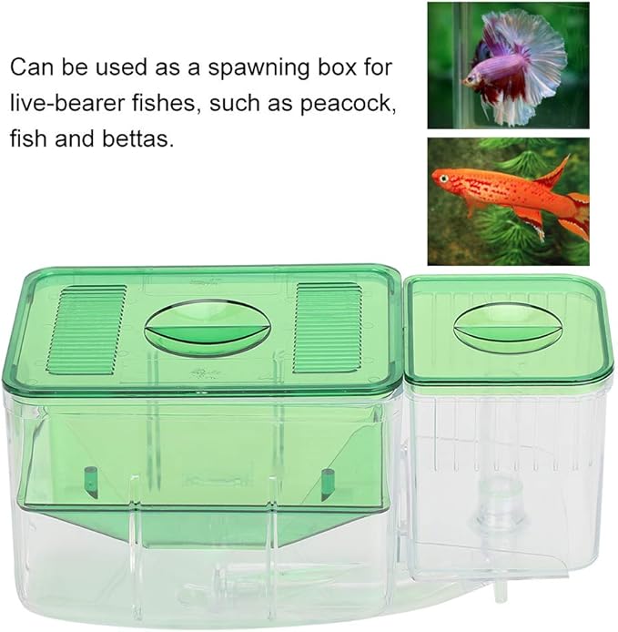 Fish Breeding Box, Transparent Isolation Box Acclimation Hatchery Incubator for Baby Fish Betta Shrimp Clownfish and Guppy