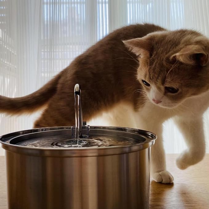 Stainless Steel Cat Water Fountain Automatic Drinking Fountain, Quiet Circulating Water Bowl, Dishwasher Safe, Indoor Pet Fountain for Hydrated Healthy Cats (Stainless Steel, 3.2L Corded)