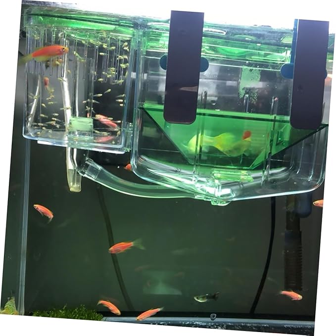 Acrylic Fish Tank Incubator Box Pneumatic Breeding Tank Fish Eggs Protection Case