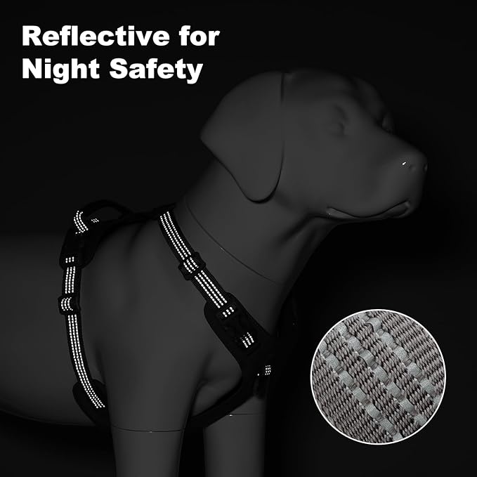 No Pull Dog Harness – Adjustable Reflective Nylon Vest for Small Medium Large Dogs, Escape Proof Training Harness with Leather Control Handle, Lightweight Aluminum Hardware (Cyan, XL)