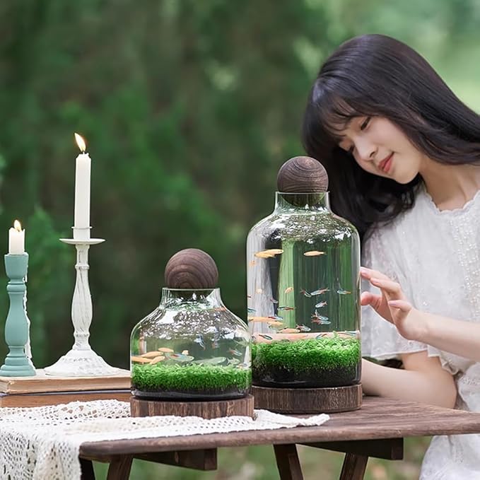Glass Aquarium, Miniature Landscape Terrarium Glass Fish Tank with Wooden Base, Modern Betta Fish Tank, Small Aquarium for Home and Office Decoration,XL