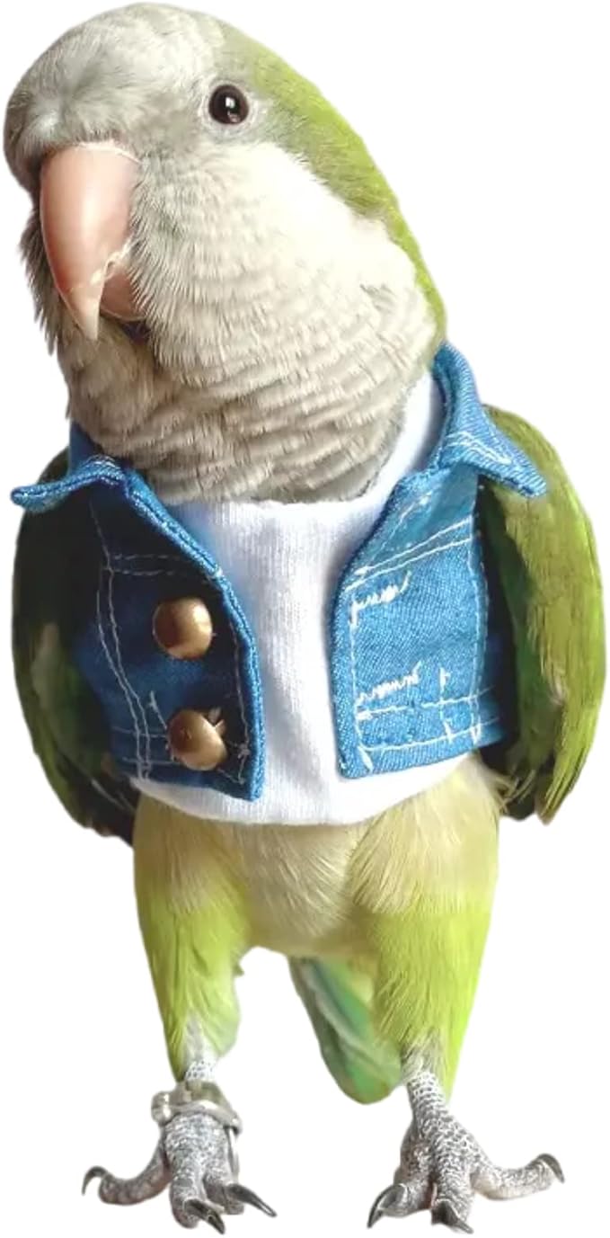 Bird Costume Bird Diaper Flight Suit Bird Jeans Fake Two Pieces Bird Clothes Cosplay Photo Prop for Parrots Lovebird Parakeet Cockatiel Small Animals Apparel (with Diaper,Eclectus)