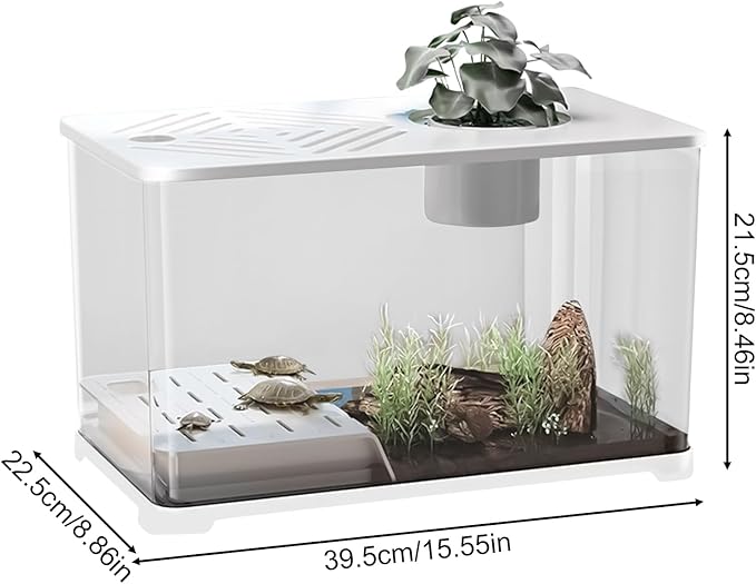 Aquarium Tank - Spacious Glass Fish Tank Setup for Betta Shrimp, Modern Desktop Habitat with Turtle Perch and LED Lighting, Ideal for Home Decor and Plant Cultivation