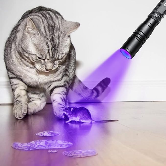 UV Flashlight Pen, LED 395nm Ultraviolet Flashlight, Zoomable Blacklight, IP54 Waterproof Detector for Pet Urine, Cat Dog Stains, Bed Bug, Household - 2 Pack