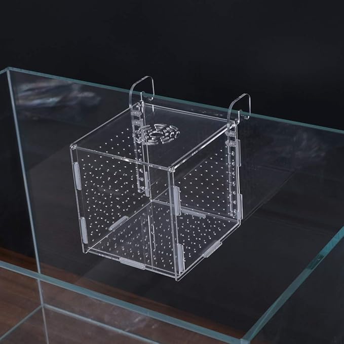 POPETPOP Fish Breeding Box-2 Box Hatchery Incubator Aquarium Fish Breeding Boxes Divider Hatching Boxes Accessory-Hook Pattern