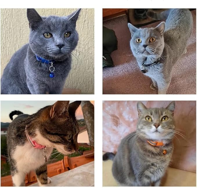 Red Dog Collar and Leash Sets for Small Dogs, Reflective Puppy Leash and Collar Adjustable Kitten Collar with Bell for Tiny Little XXS XS Extra Small Breed Pets Dogs Cats Girls Female