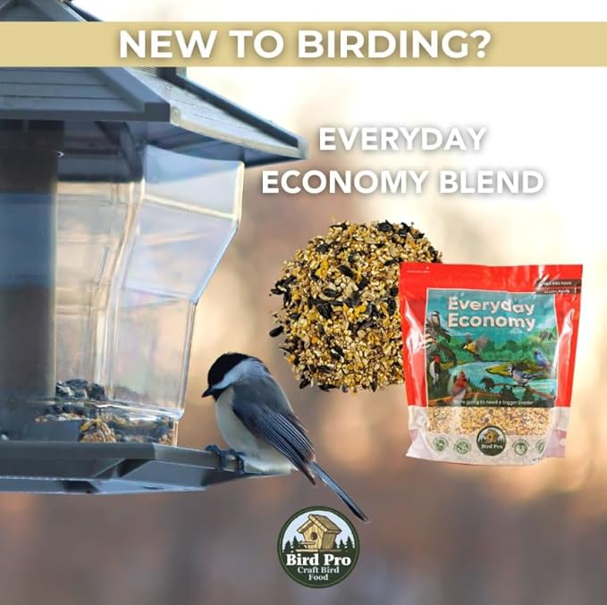 Classic Bird Seed (10 Pounds, Everyday Economy)