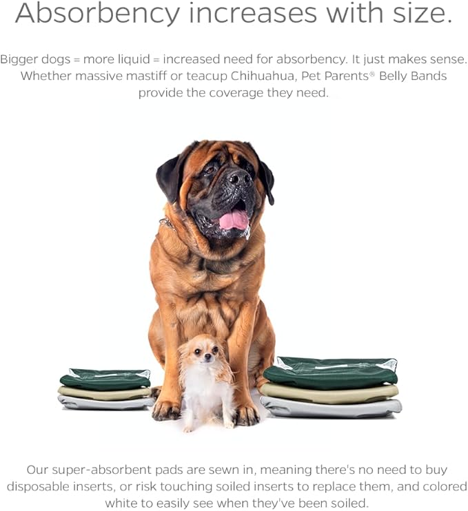 Pet Parents® Washable Belly Bands for Male Dogs (3pack) + Extendrs® of Durable Dog Diapers Male, Premium Male Dog Diapers & Dog Wraps (Medium, Spruce)