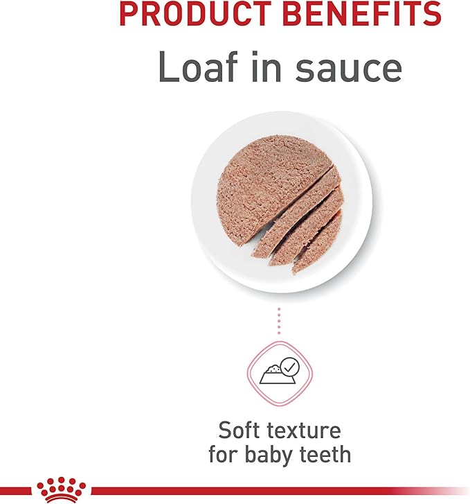 Royal Canin Feline Health Nutrition Kitten Loaf in Sauce Cat Food, 5.1 oz (Pack of 24)