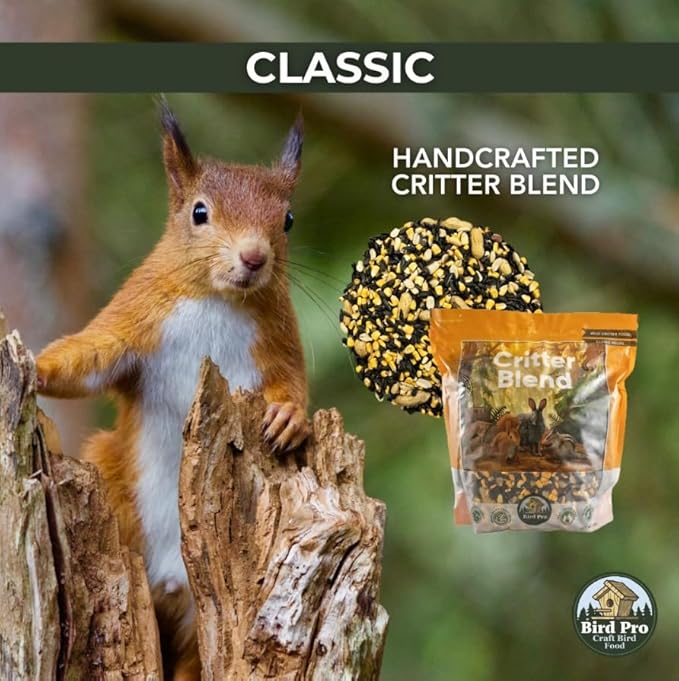 Classic Bird Seed (10 Pounds, Critter Blend)