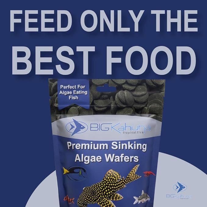 Medium 12mm Algae Wafer - Algae Wafers for Bottom Feeders - The Best Pleco Wafers & Pleco Food Available - Algae Wafers for Snails (8 oz)