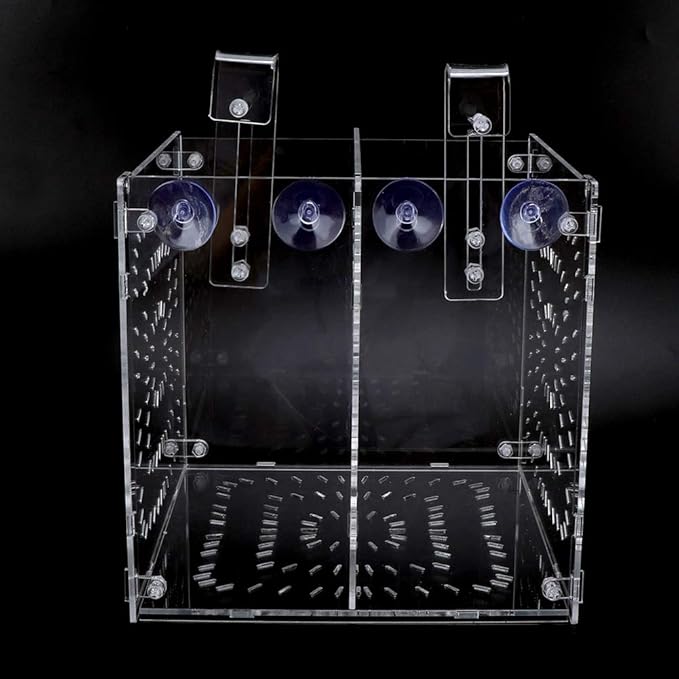 Fish Tank Breeding Box Aquarium Isolation Box High Transparency Adjustable Height Sturdy Acrylic Material for Fish Shrimp Isolation Transparent 15x15x15cm 30x15x15cm 20x20 (20MC *20CM*20CM)