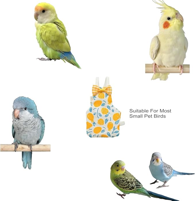 Bird Diapers for Parrot, Cockatiels Conure Monk Parakeets Pigeon, Reusable Parrot Nappy, Bird Clothes for Parrots (Yellow, M, Count, 6)