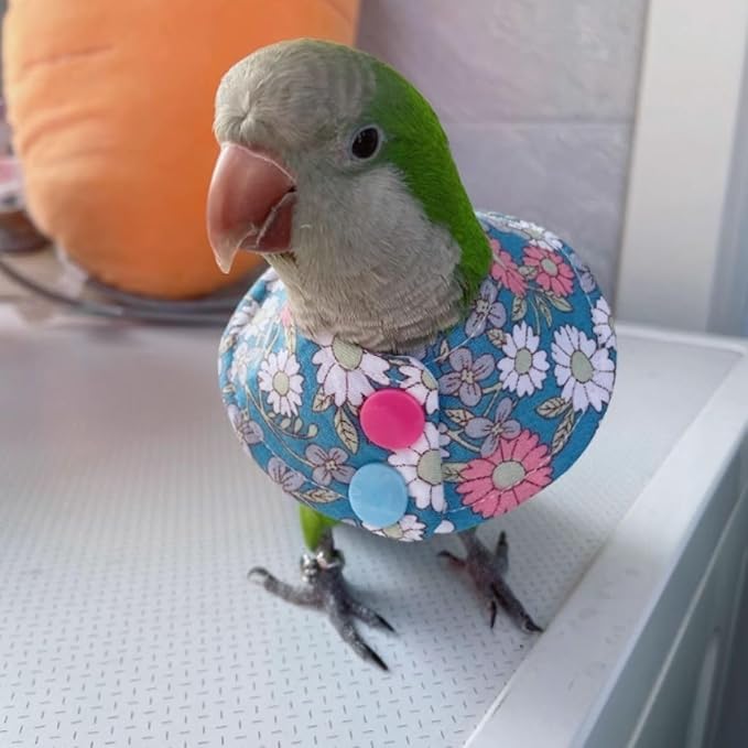 Bird Collar - Anti-Bite Elizabethan Recovery Cone Feather Plucking Protector Skin-Friendly Neckwear for Parakeets Conures Cockatiels Lovebirds Budgies Cockatoos African Grey Random Color (Macaw)