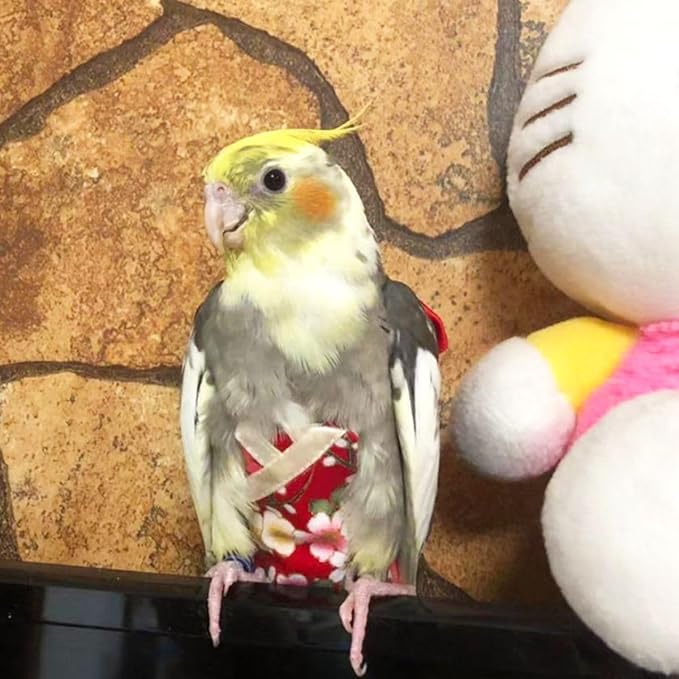 Bird Flight Suits Diapers, Parrot Flight Suits Diapers for Quaker Parakeets Cockatiels Flight Suits, Parrot Clothes (Almond B,XS)