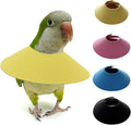4Pack Bird Cone Collar, Anti-Grab Feather Plucking Wound Healing Safety Elizabethan Collar, Protective Recovery Cones for Budgerigar Cockatiel Lovebirds Cockatoo Parrots (L)