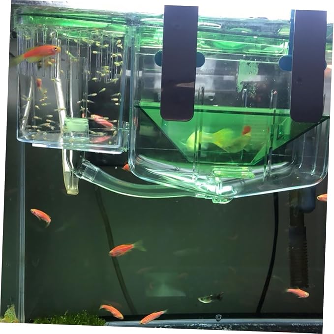 Aquarium Breeding Tank Transparent Acrylic Isolation Box for Fish Fry Protection and Nursery Self Guided Incubator Fish Tank Breeder Case for Home Aquariums Prevent and Survival