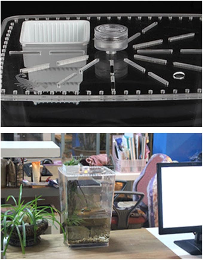 Acrylic Clear Reptile Terrarium Enclosure Cage, Reptile Breeding Box Lizard Spider Tank Climbing Pet Box with LED Light