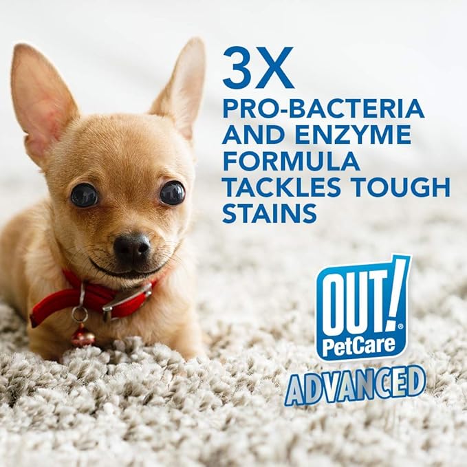 OUT! Advanced Stain and Odor Remover - Pet Stain and Odor Remover - 32 Ounces