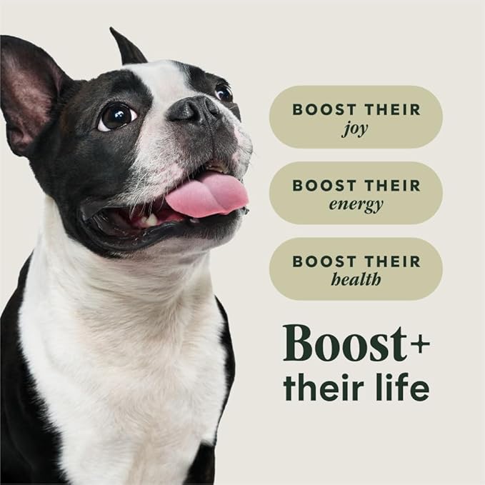 Instinct RawBoost Small Breed, Natural Dry Dog Food with Freeze-Dried Pieces, High Protein, Grain-Free Recipe - Real Beef, 10 lb. Bag