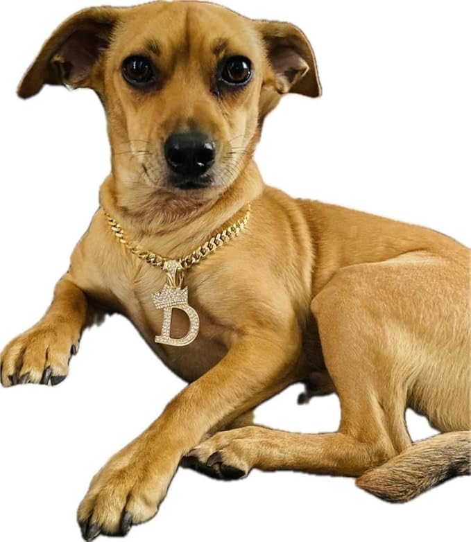 Initial Letter Cuban Chain Dog Chain Pet Chain Pet, Cat, Puppy Necklace (D, 22")