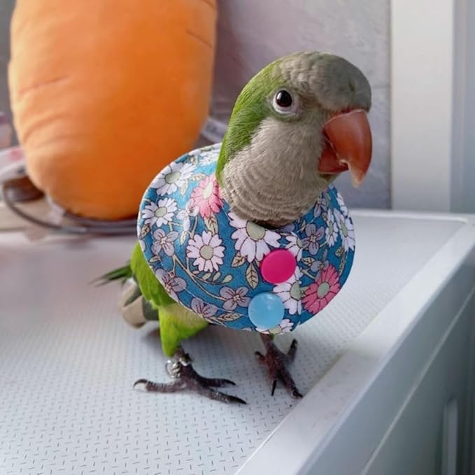 Bird Collar - Anti-Bite Elizabethan Recovery Cone Feather Plucking Protector Skin-Friendly Neckwear for Parakeets Conures Cockatiels Lovebirds Budgies Cockatoos African Grey Random Color (Macaw)